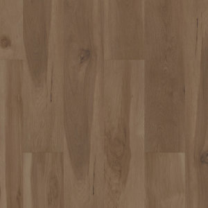 Blended Caraway