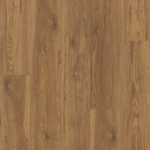 Marsh Oak