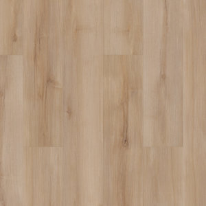 Lucent Oak