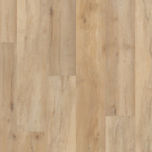 Brookfield Maple