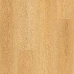 Profile Edge