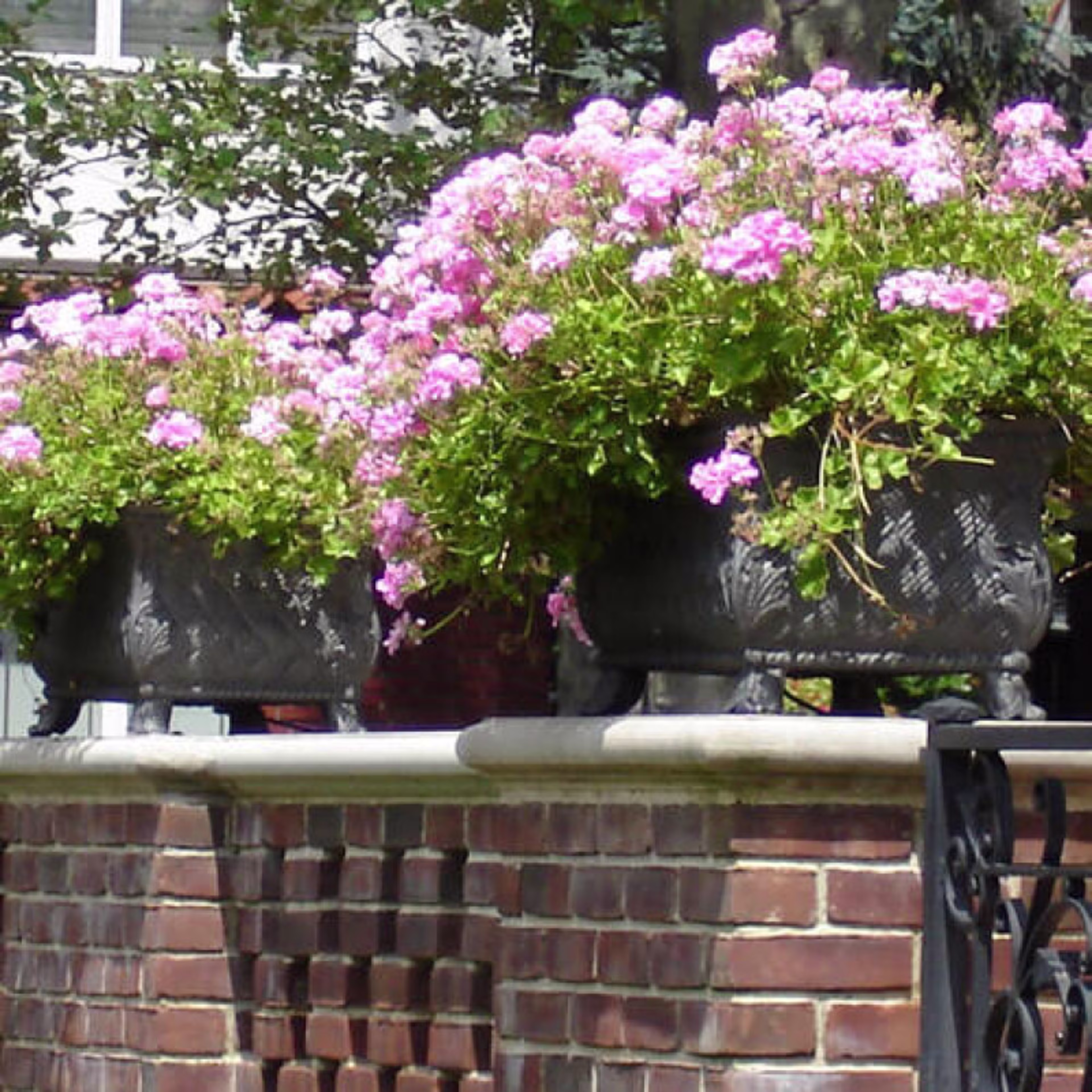 Capital Garden Basket Weave Plant Container