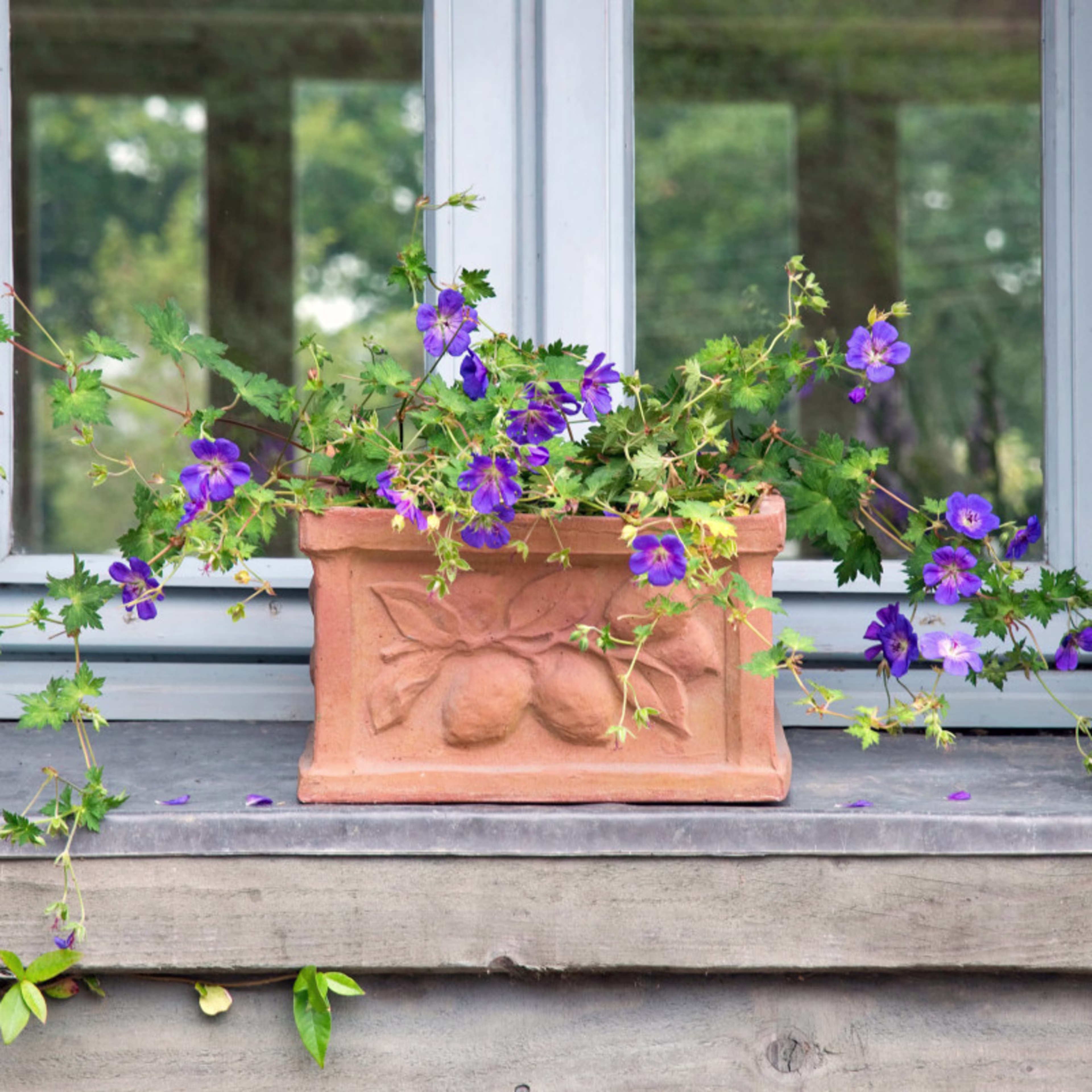 Capital Garden Citrus Square Planter
