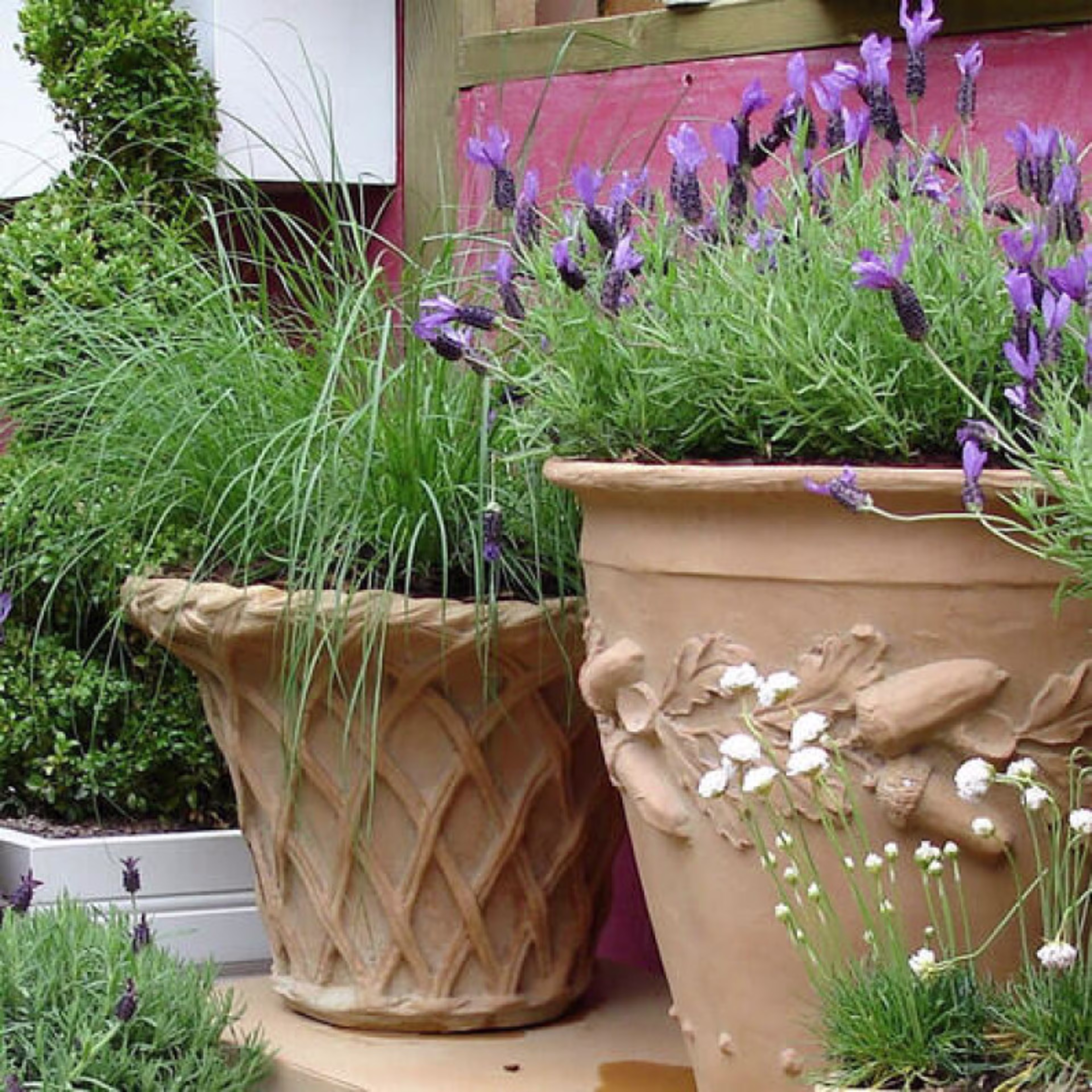 Capital Garden Lattice Pot