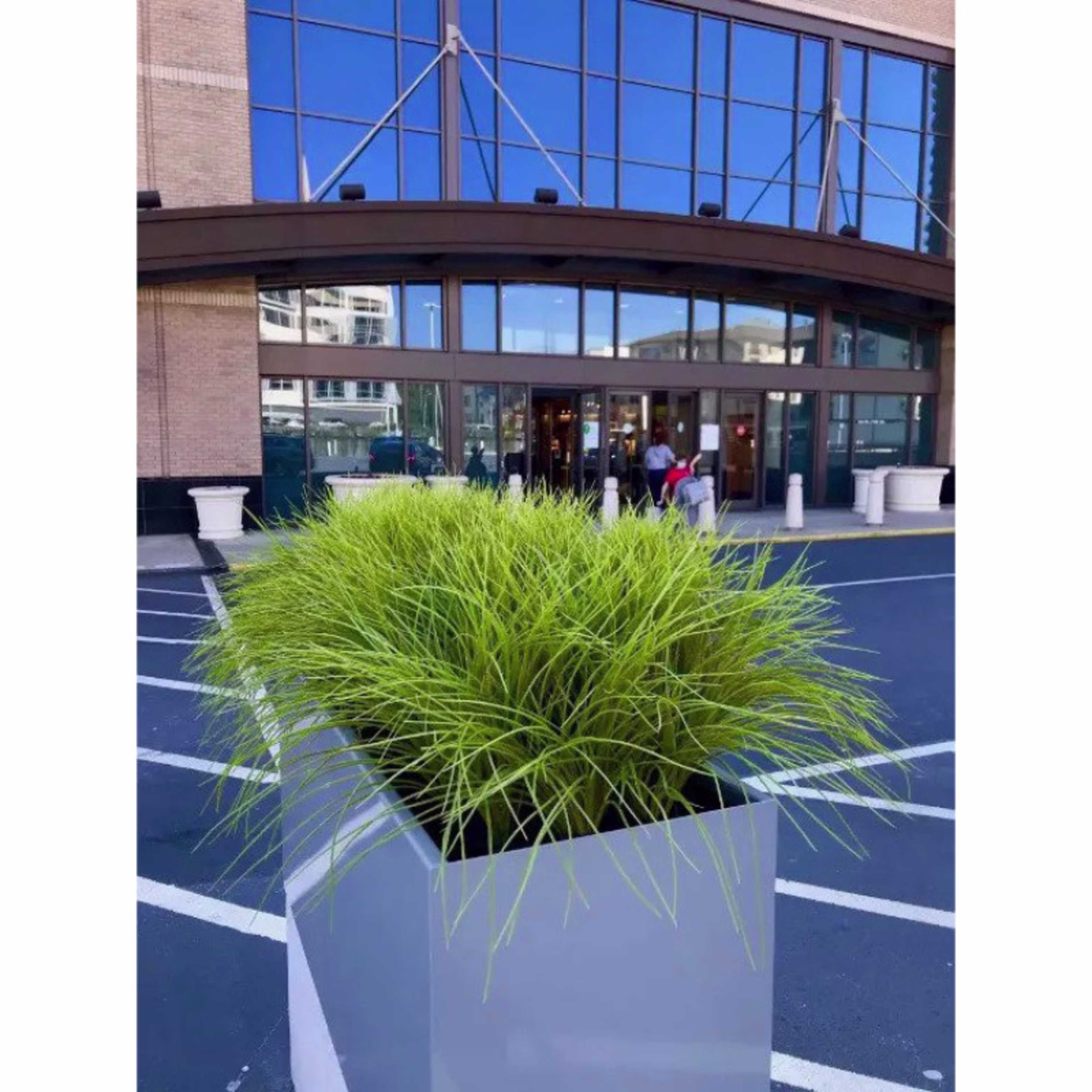 Enduraleaf 22" Faux Onion Grass