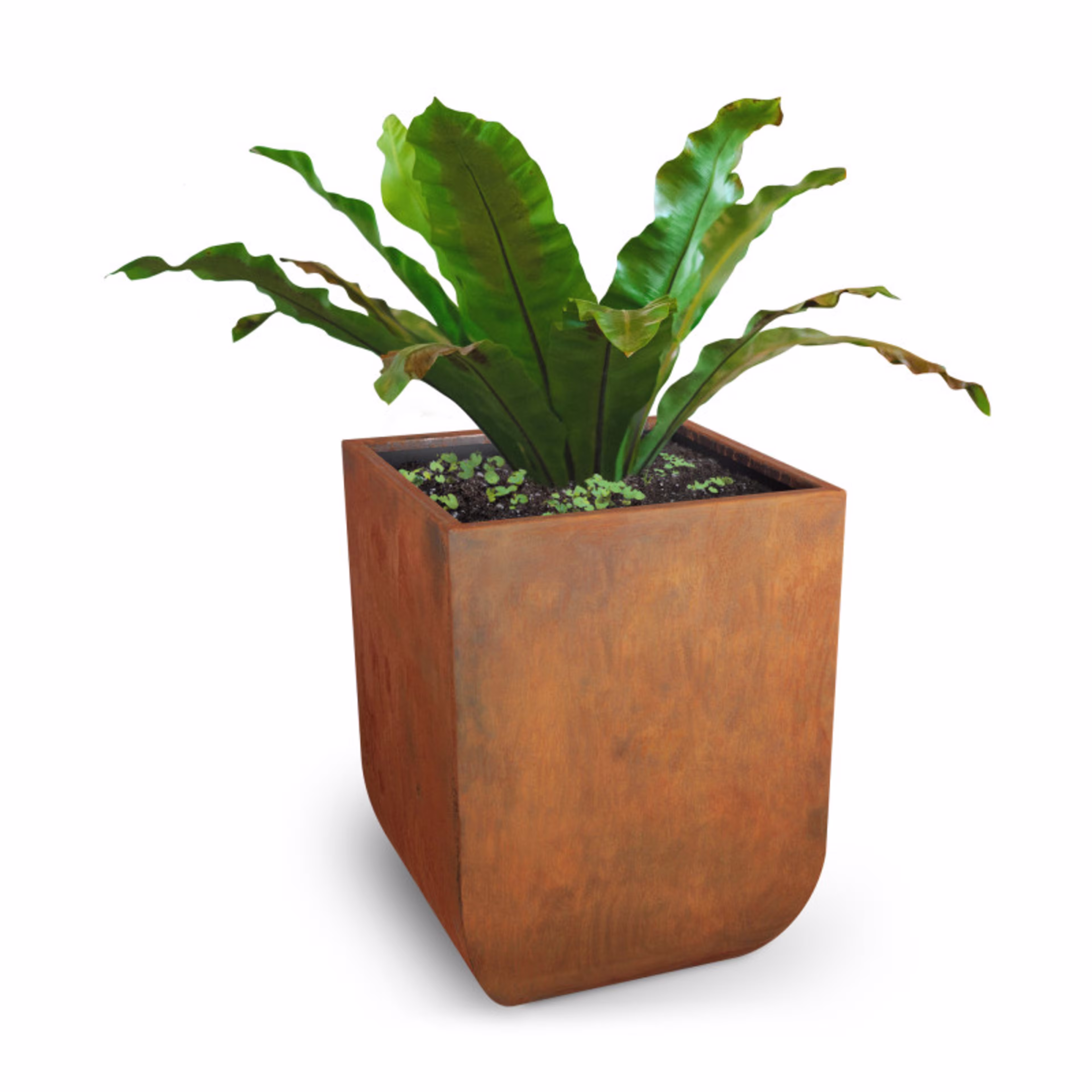 The Outdoor Plus Vertical Tuscon 26" Square Cor-Ten Steel Planter
