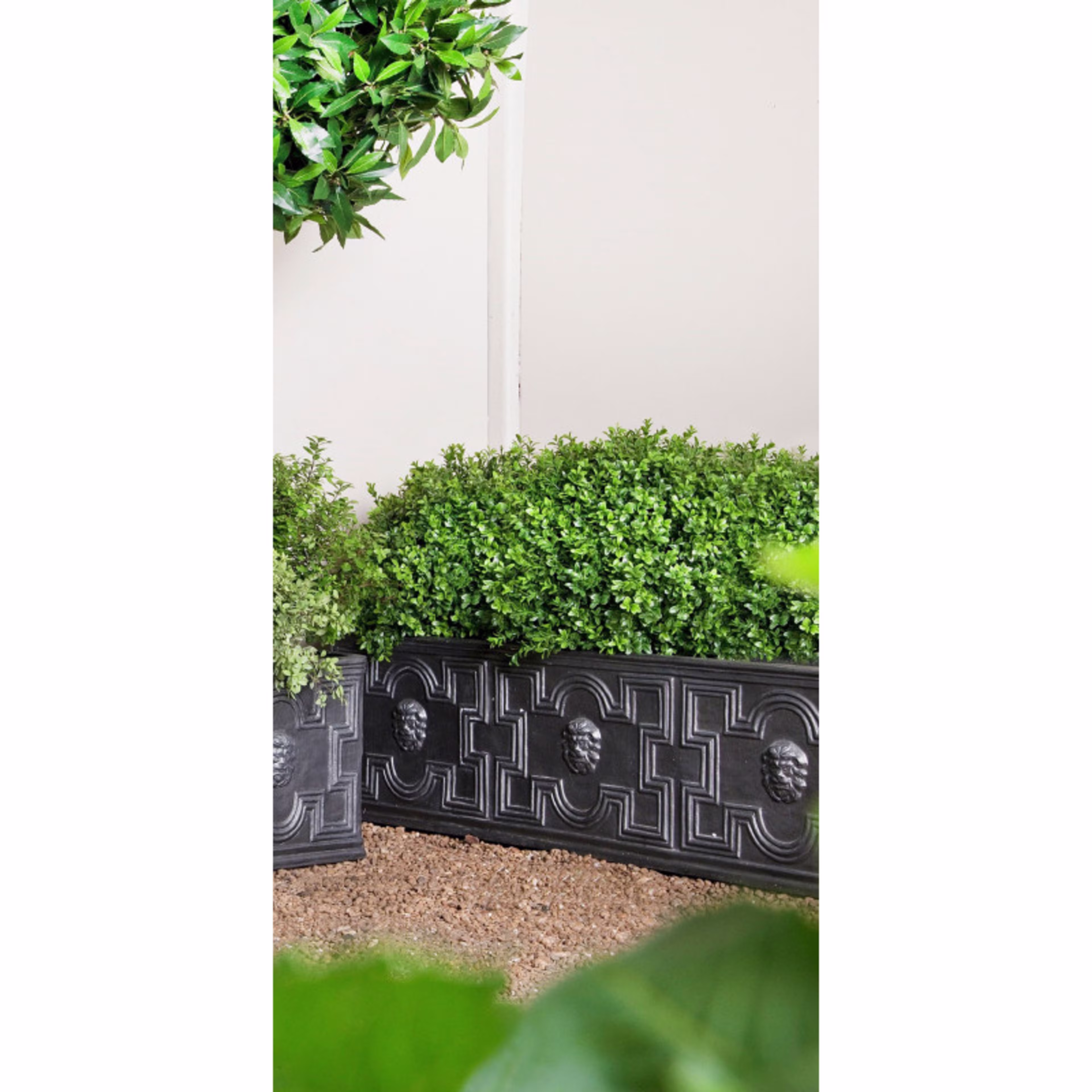 Capital Garden Elizabethan 20" x 39" Rectangular Fiberglass Trough Planter