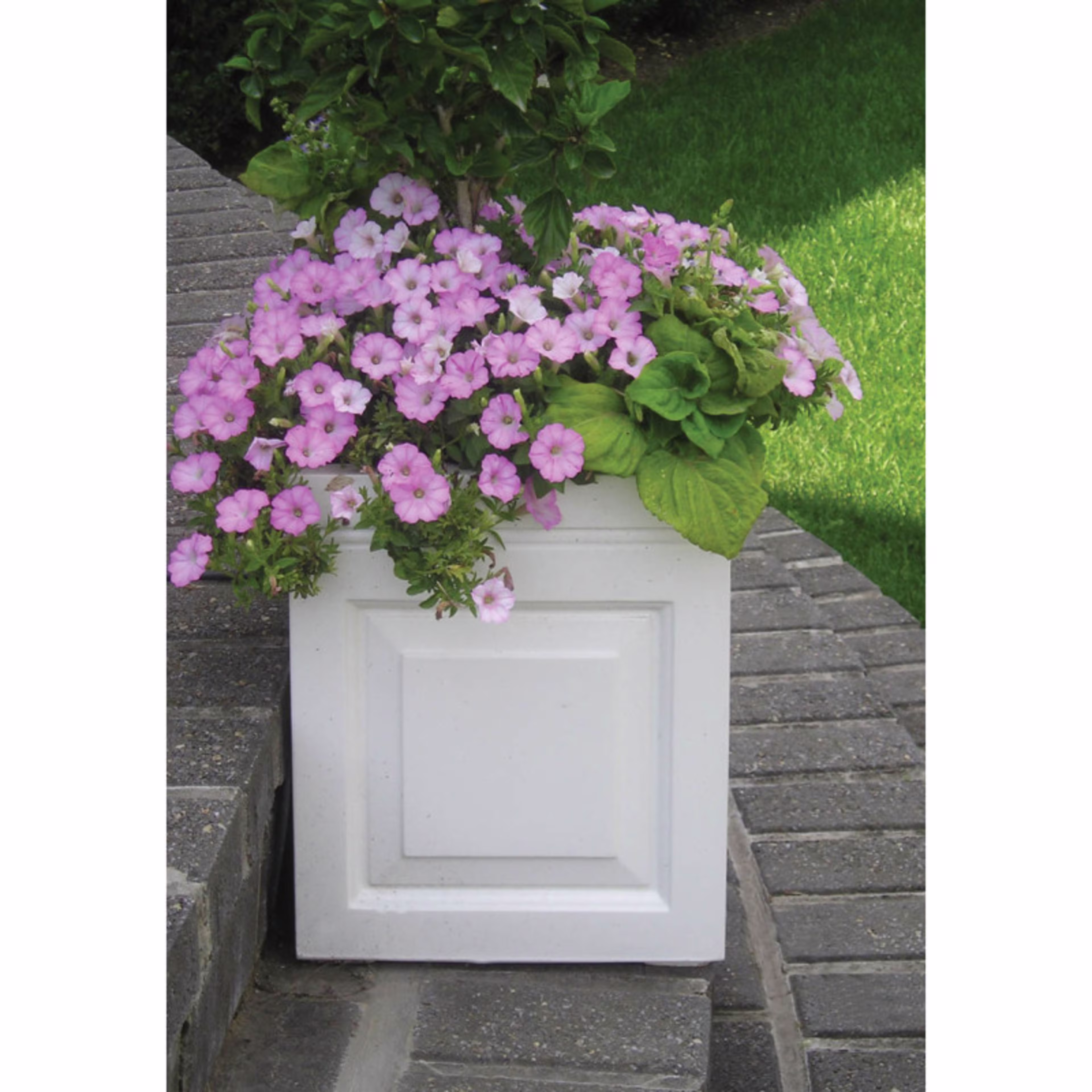 Capital Garden Sloane 18" Square Fiberglass Box Planter