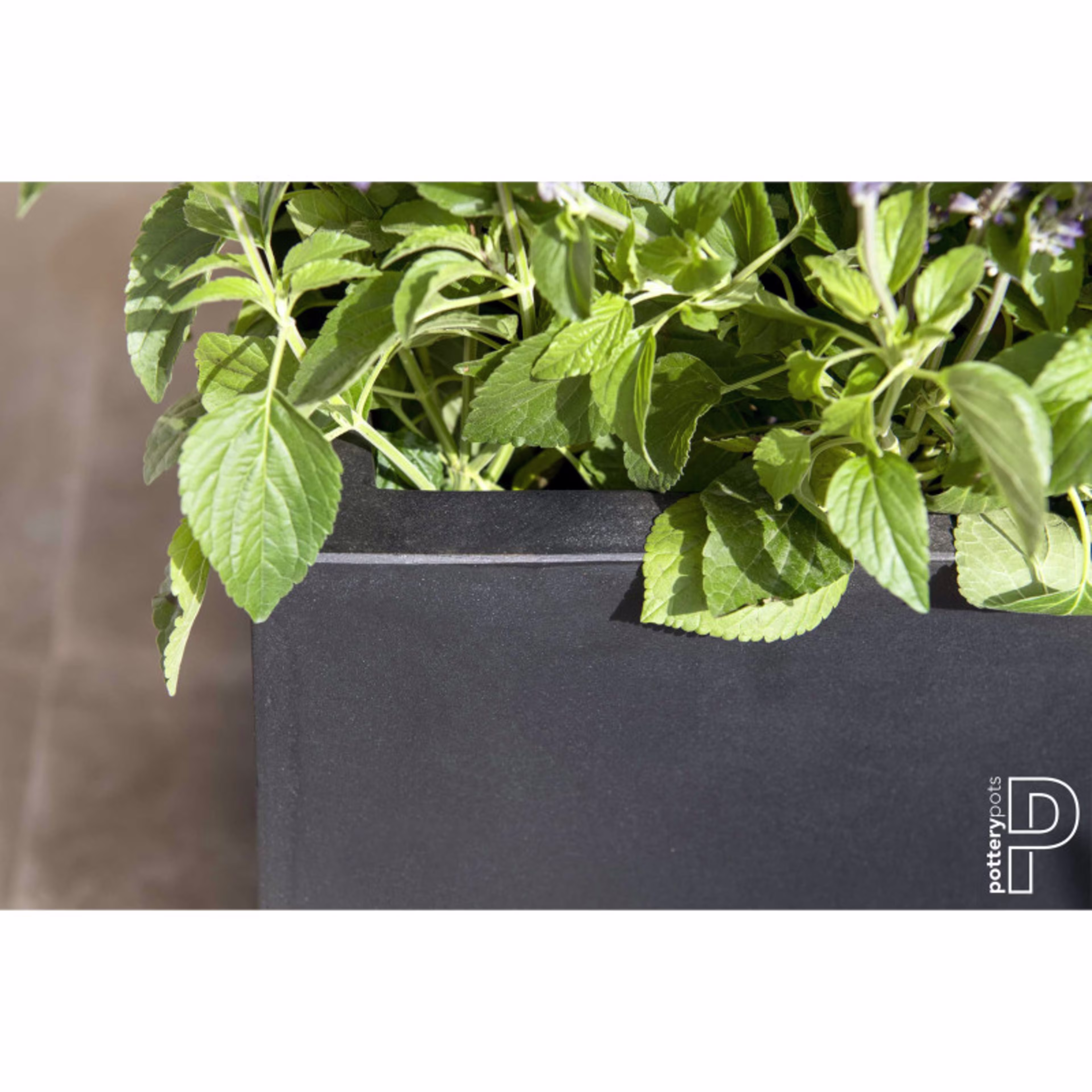 Pottery Pots Natural 16" Cube Fiberstone Box Planter - Black