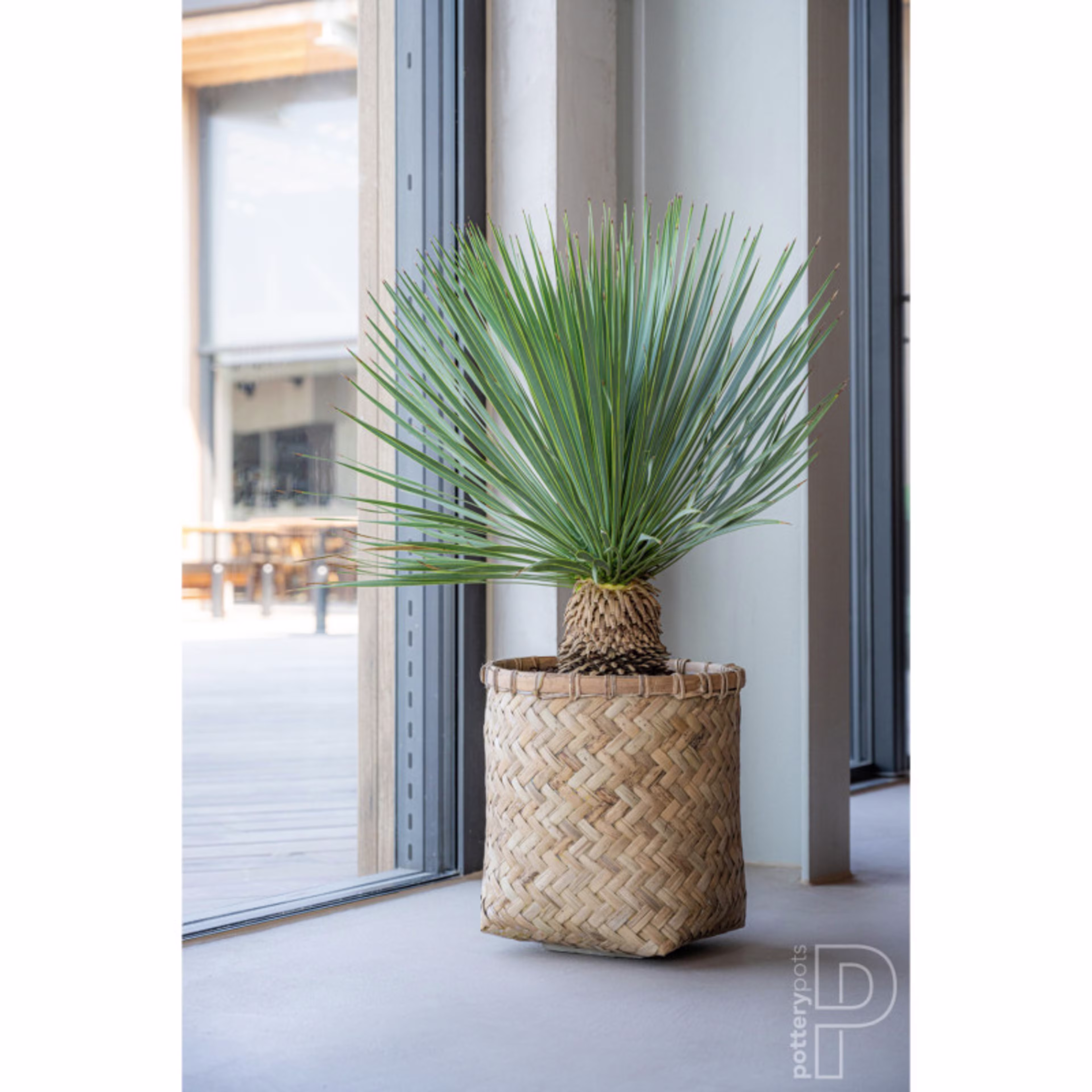 Pottery Pots Bohemian Zayn 15" Round Bamboo Planter Pot