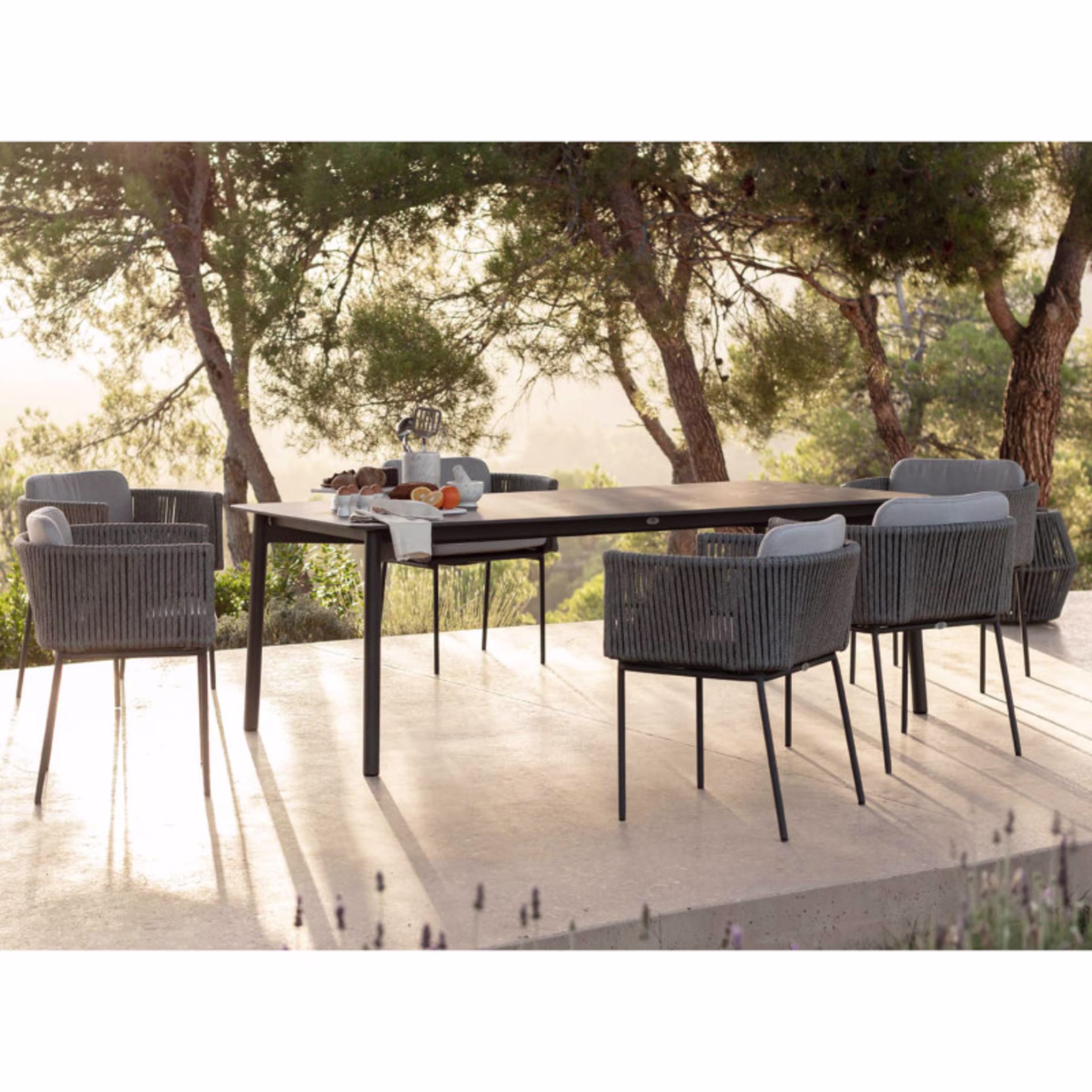 Skyline Design Boston Woven Dining Armchair