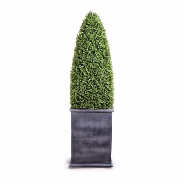 Enduraleaf 78" Faux Boxwood Obelisk in Pot