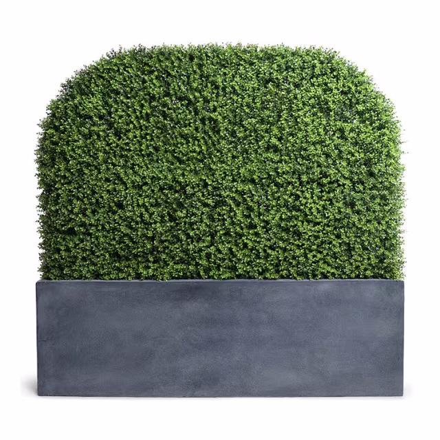 Enduraleaf 65" Faux Boxwood Arc Hedge in Planter
