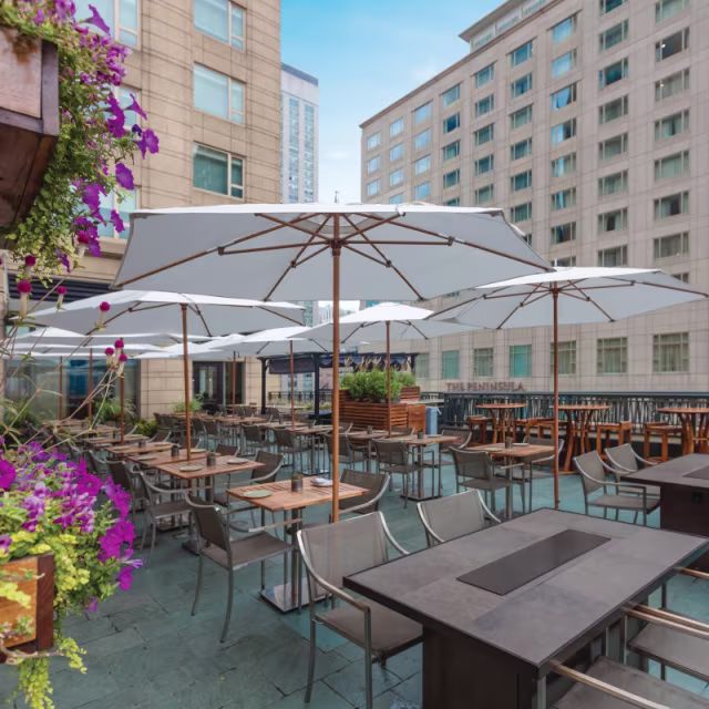 Tuuci Bay Master M1 Classic Hexagonal Aluminum Market Patio Umbrella