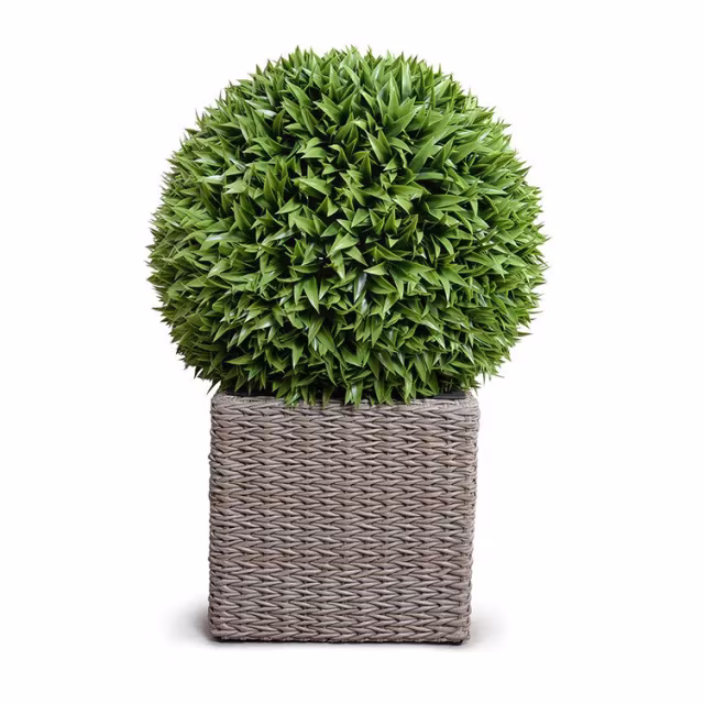 Enduraleaf 29" Faux Broadleaf Podocarpus Ball in 44" Basket