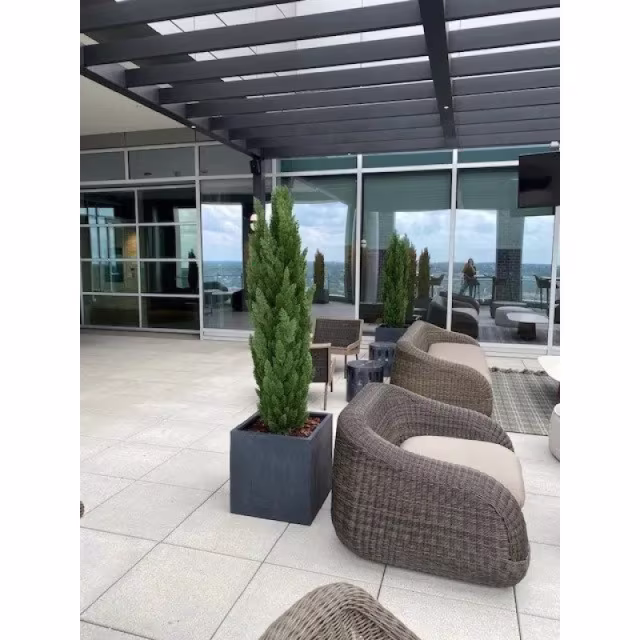 Enduraleaf 9.5' Faux Italian Cypress Tree