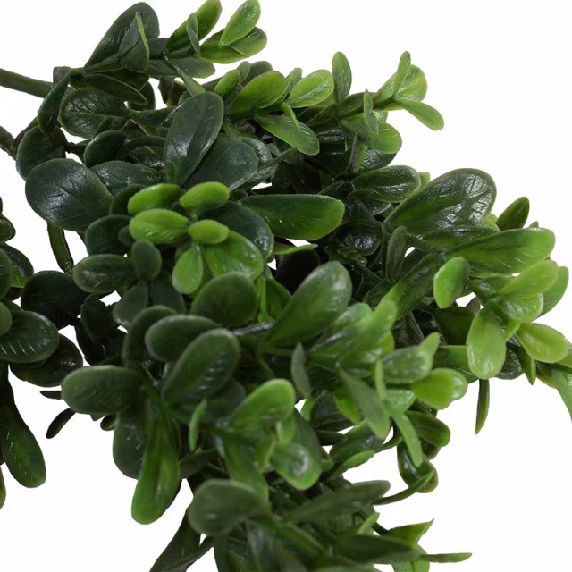 Enduraleaf 25.5" Faux Boxwood Shrub Branch - Set of 12
