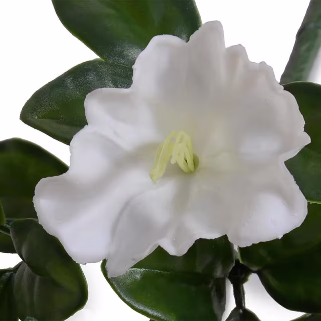 Enduraleaf Faux White Petunia Pick - Set of 12