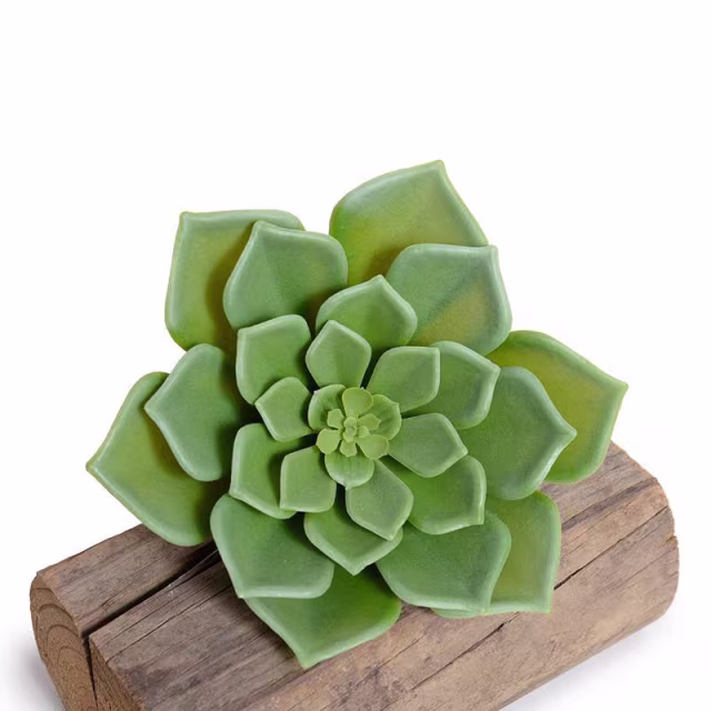 Enduraleaf Faux Echeveria Succulent Pick - Set of 12