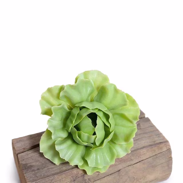 Enduraleaf Light Green Faux Cabbage Succulent Pick - Set of 12