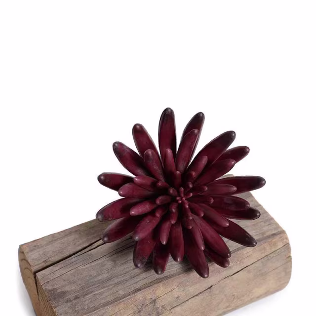 Enduraleaf Burgundy Faux Succulent Pick - Set of 6