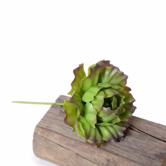 Enduraleaf Green/Brown Faux Cabbage Succulent Pick - Set of 12