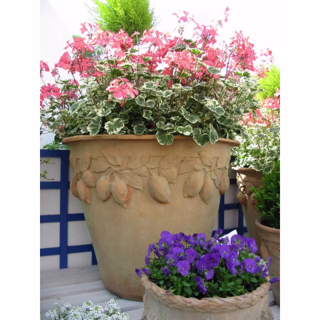 Capital Garden Citrus 22" Round Fiberglass Planter Pot