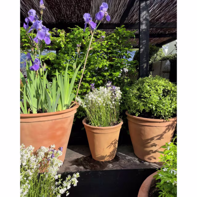 Capital Garden Plain 14" Round Fiberglass Planter Pot