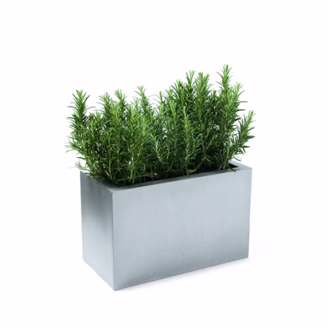Capital Garden Geo 8" x 16" Rectangular Fiberglass Window Planter