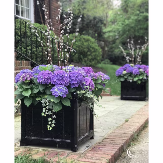 Capital Garden Windsor 25" Square Fiberglass Box Planter