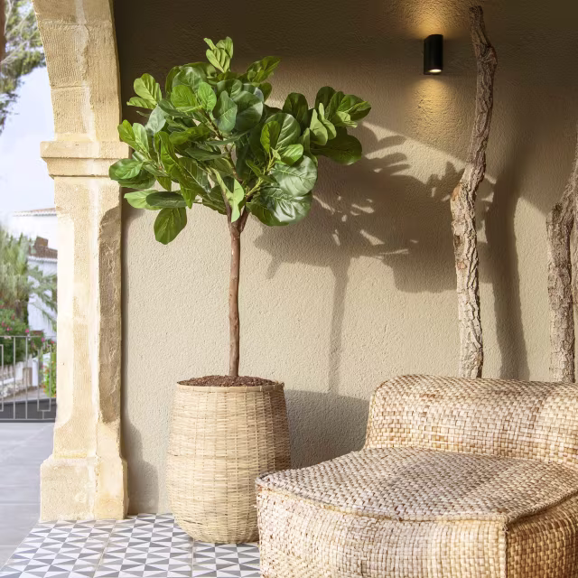 Pottery Pots 71" Faux Ficus Lyrata Plant