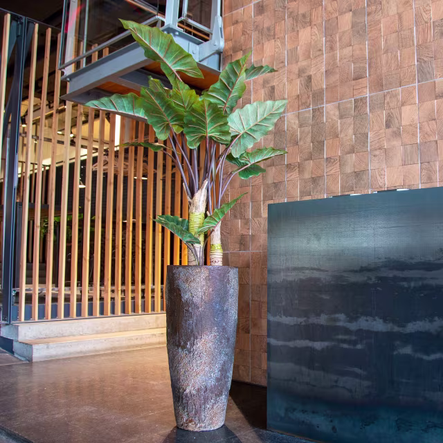 Pottery Pots 63" Faux Alocasia Plant