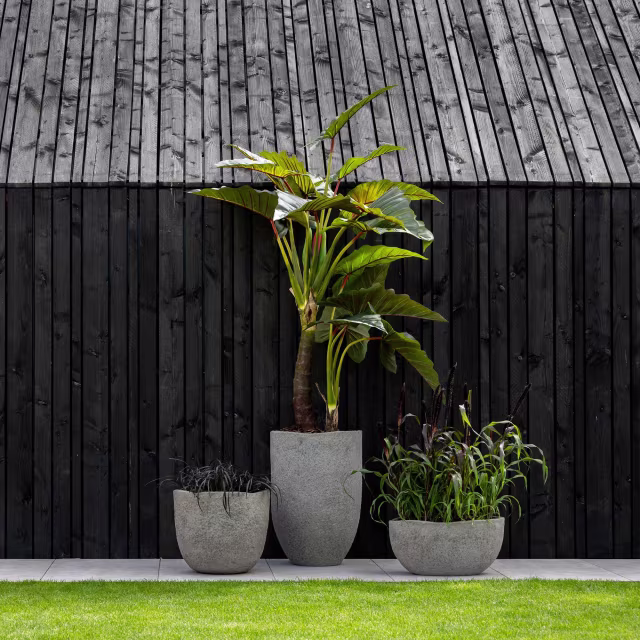 Pottery Pots 87" Faux Alocasia Plant