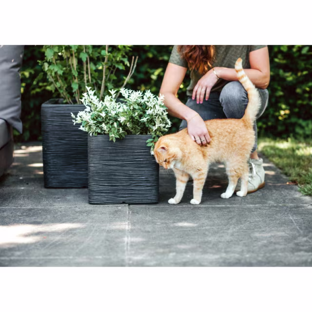 Capi Nature Rib 16" Square Box Planter - Black