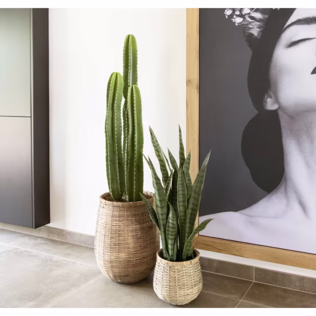 Pottery Pots 39" Faux San Pedro Cactus