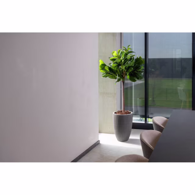 Pottery Pots Ridged Ben 16" Round Ficonstone Planter Pot - Light Grey