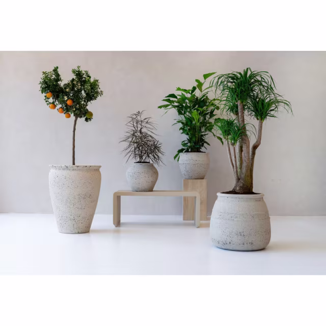 Pottery Pots Mediterranean Artemis 17" Round Ficonstone Planter Pot - Chalk White