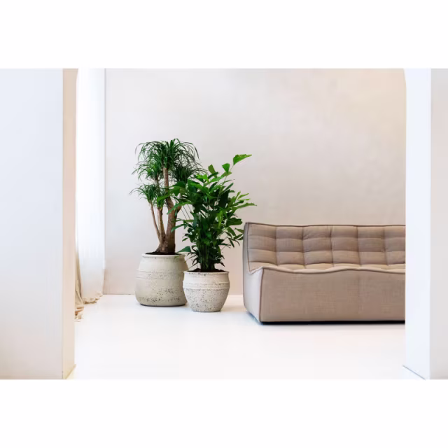 Pottery Pots Mediterranean Hestia 13" Round Ficonstone Planter Pot - Chalk White