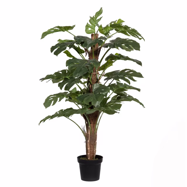 Pottery Pots 55" Faux Monstera Pertusum Plant