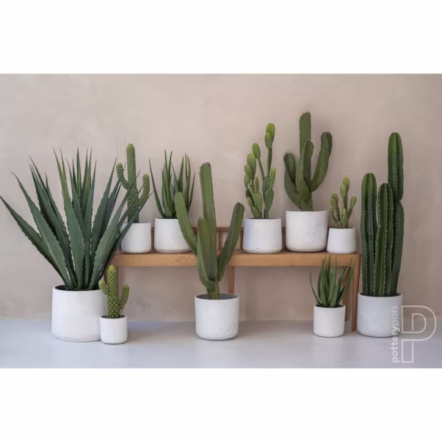Pottery Pots 24" Faux Cactus Saguaro Plant - Set of 4