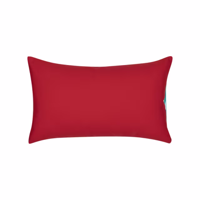 Elaine Smith 20'' x 12'' Wild Heart Sunbrella Outdoor Pillow