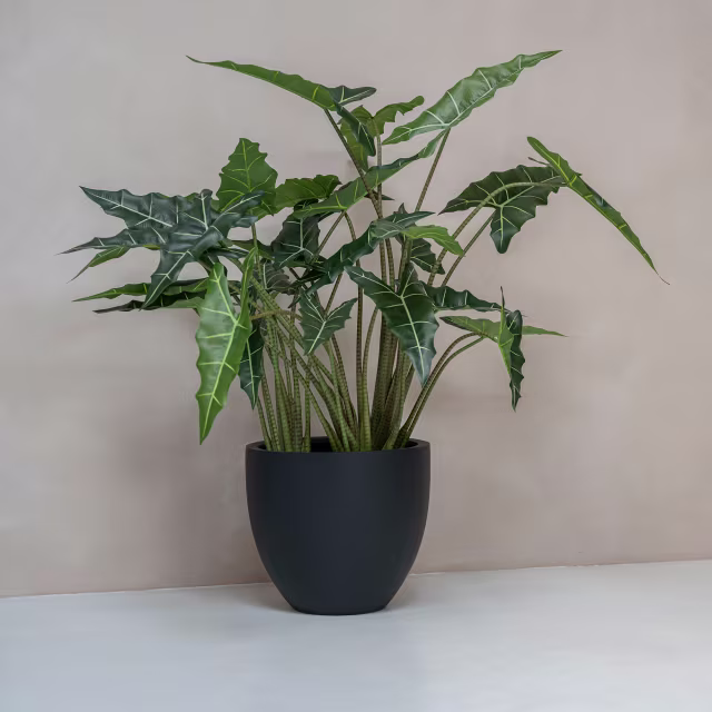 Pottery Pots 47" Faux Alocasia Taro Plant