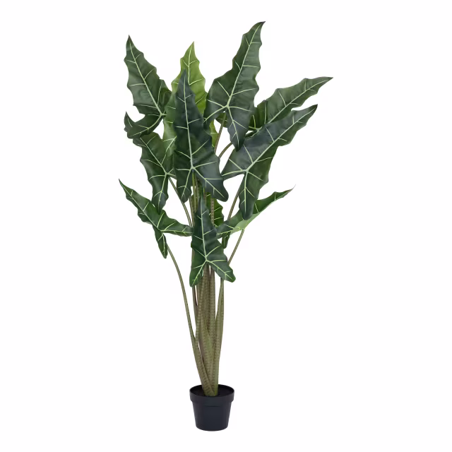 Pottery Pots 55" Faux Alocasia Taro Plant