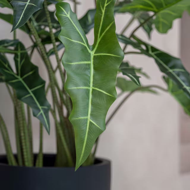 Pottery Pots 63" Faux Alocasia Taro Plant