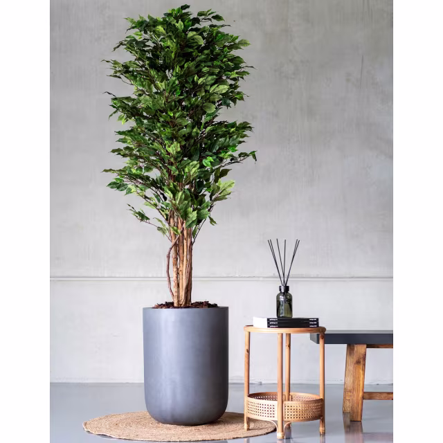Pottery Pots 59" Faux Ficus Tree