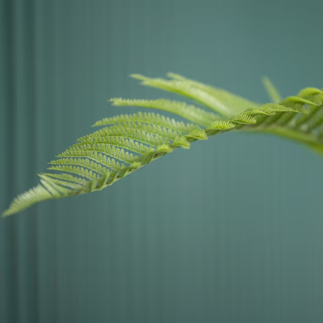 Pottery Pots 59" Faux Fern Plant