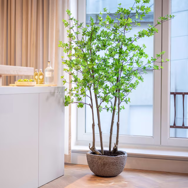 Pottery Pots 71" Faux Enkianthus Perulatus Plant