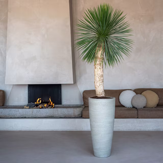 Pottery Pots Cement Dax 14.5" Round Ficonstone Planter Pot - Beige Washed