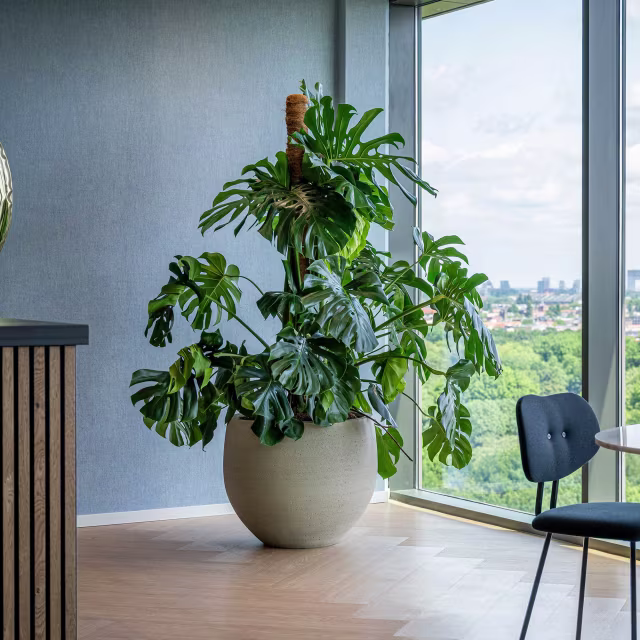 Pottery Pots Urban Jumbo Orb 27" Round Ficonstone Planter Pot - Beige Washed