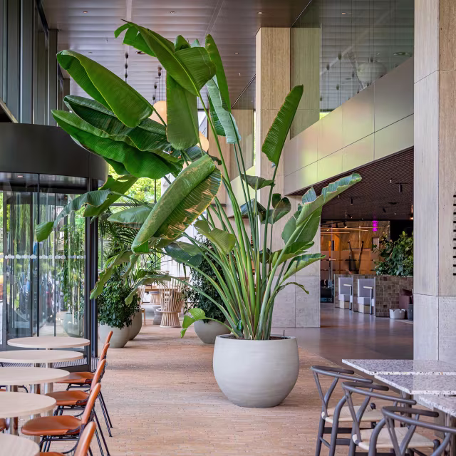 Pottery Pots Urban Jumbo Orb 34.5" Round Ficonstone Planter Pot - Beige Washed